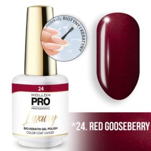 MOLLON PRO LUXURY COLOR COAT 024 8ML