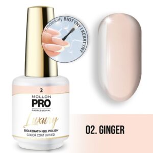 MOLLON PRO LUXURY COLOR COAT 002 8ML